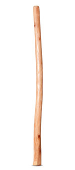 Natural Finish Didgeridoo (TW464)
